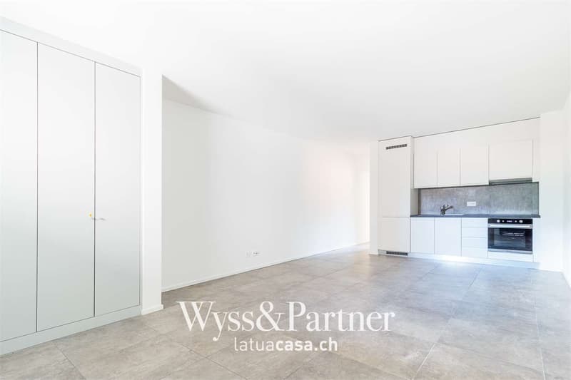 Biasca - helles 2.5-Zimmer-Apartment (1)