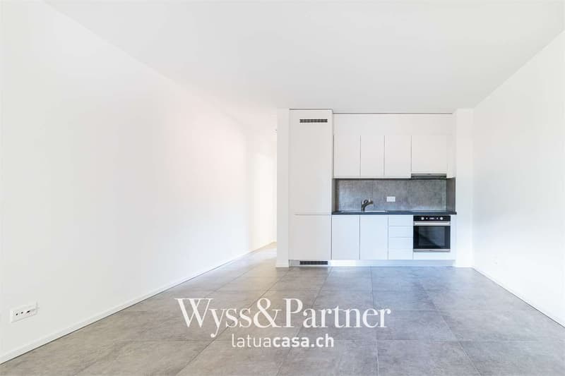 Biasca - helles 2.5-Zimmer-Apartment (2)