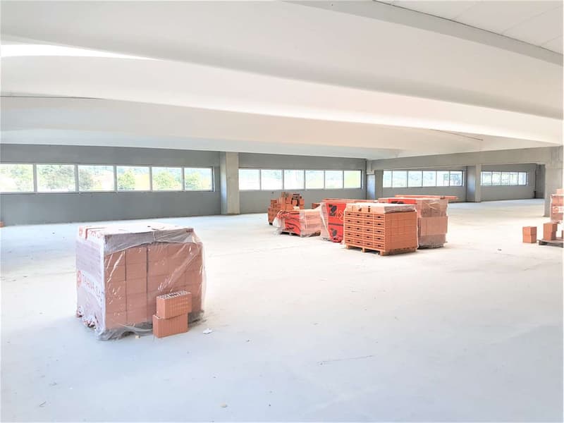 Moderno edificio per uffici/produzione/industriale (3)