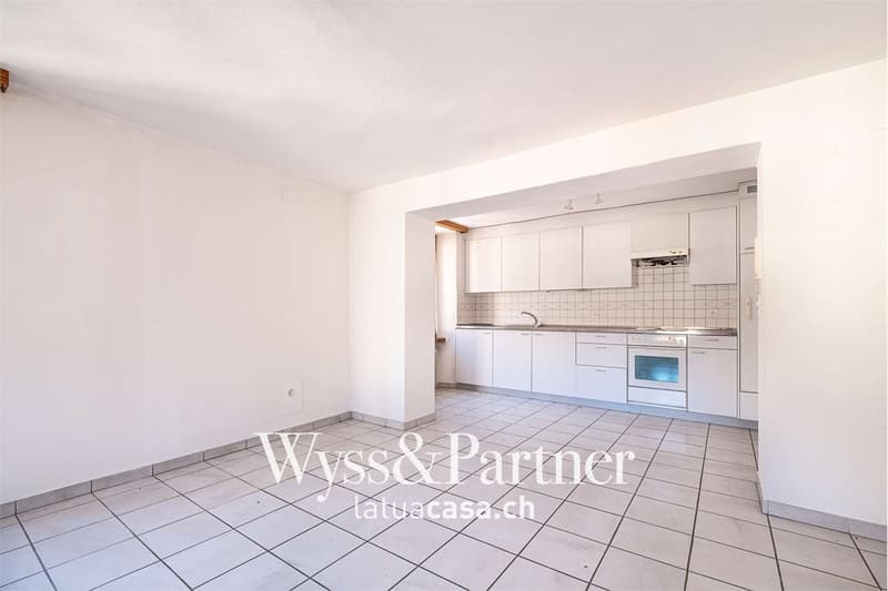 Malvaglia - Spacious Duplex Apartment (3)