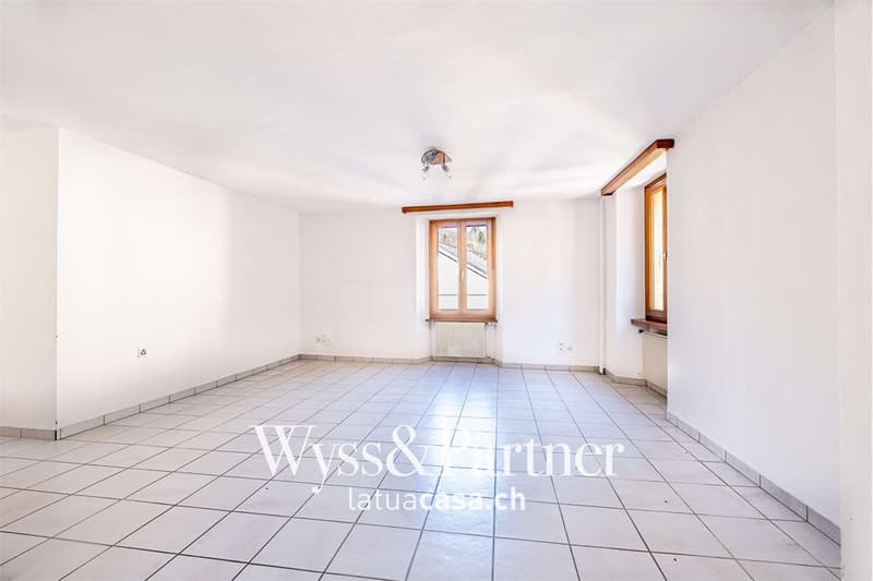 Malvaglia - Spacious Duplex Apartment (2)