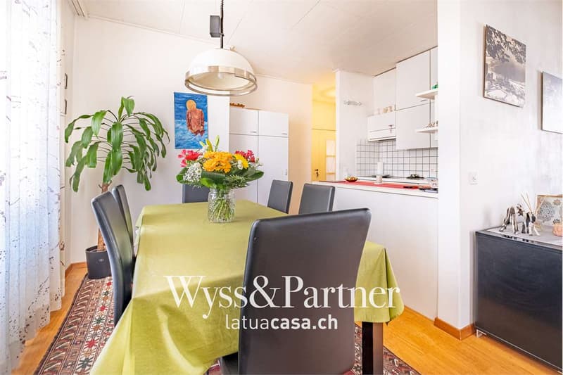 Bellinzona, geräumige 4.5 Zimmer (3)