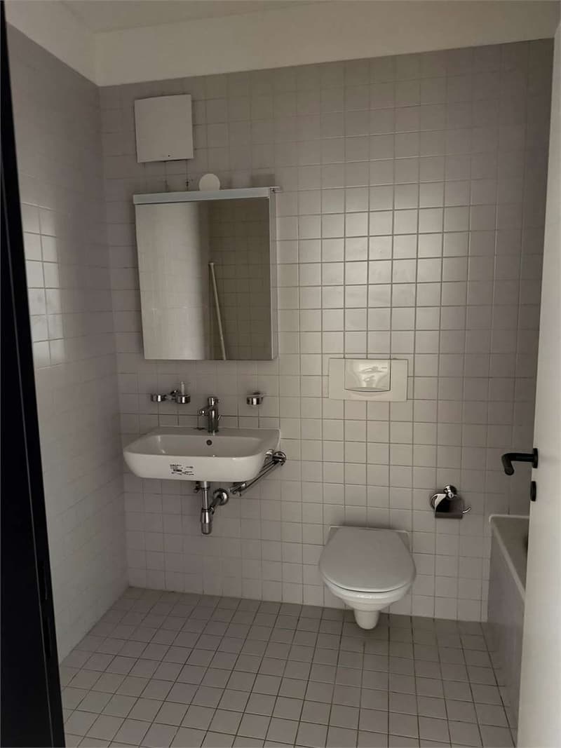 Monte Carasso - komfortables Apartment mit 4.5 Zimmern - Promo: 1 Monatsmiete (8)