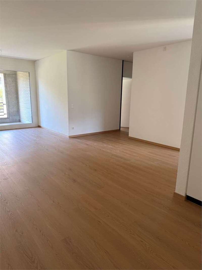 Monte Carasso - komfortables Apartment mit 4.5 Zimmern - Promo: 1 Monatsmiete (2)