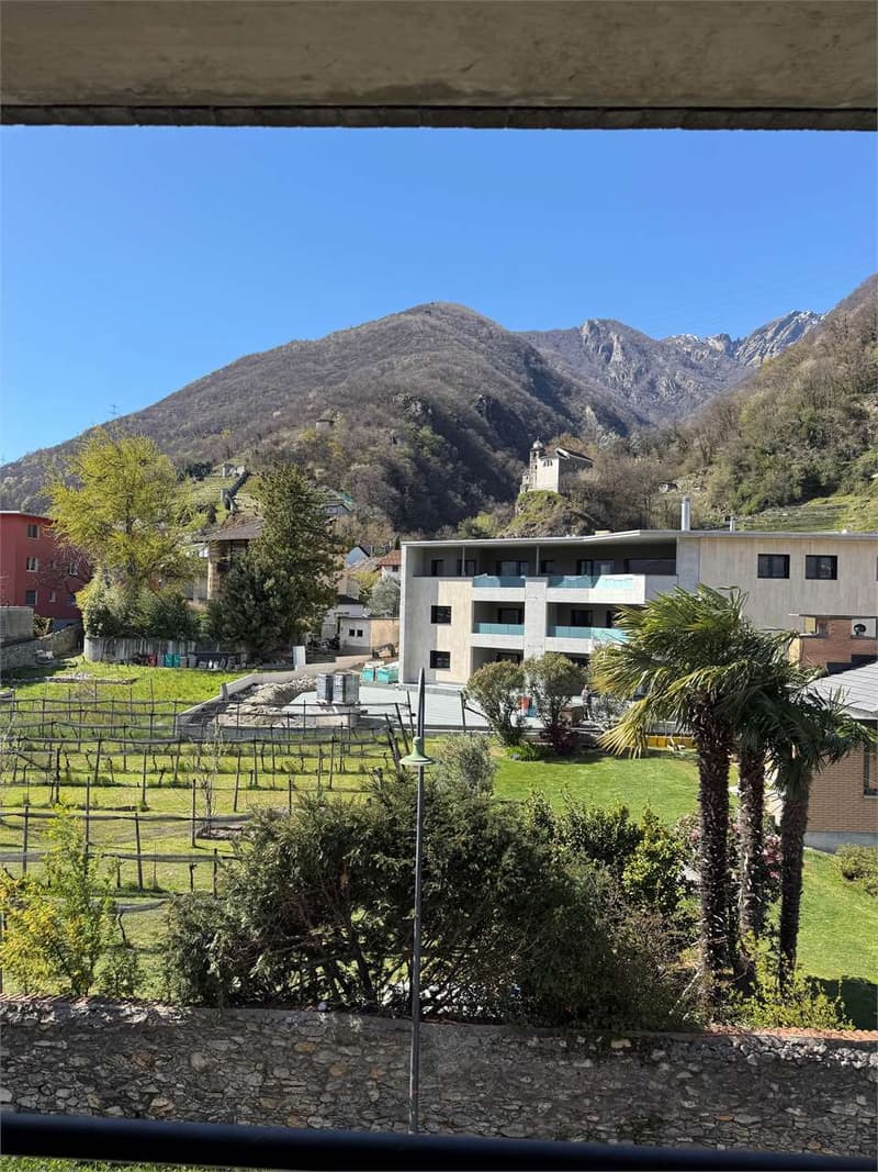 Monte Carasso - komfortables Apartment mit 4.5 Zimmern - Promo: 1 Monatsmiete (1)