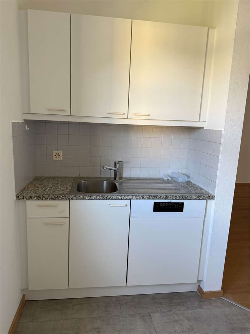 Monte Carasso - komfortables Apartment mit 4.5 Zimmern - Promo: 1 Monatsmiete (4)