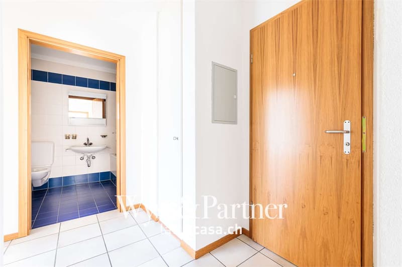 Sementina - Helles 2.5-Zimmer-Apartment (5)