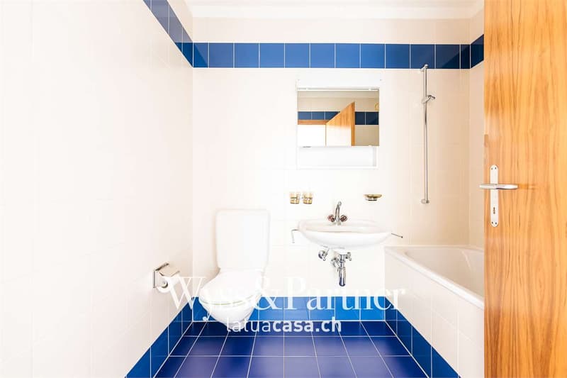 Sementina - Helles 2.5-Zimmer-Apartment (4)