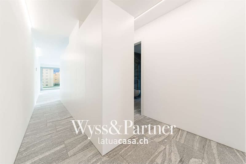 Bellinzona - Elegante e moderno appartamento di 3.5 locali (3)
