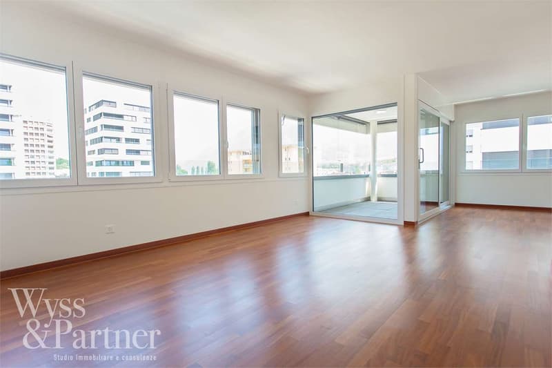 LOCARNO ZENTRUM - 3,5 Zi. Wohnung (1)