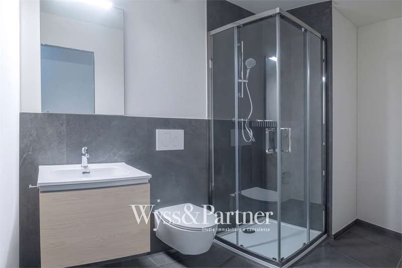 Losone New apartment 4.5 rooms with garden (10)