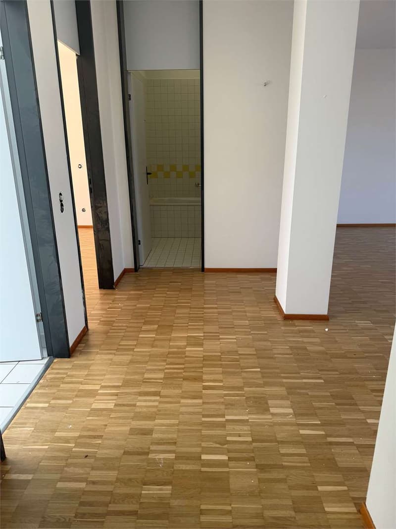 Appartamento 2.5 locali nel Cuore di Bellinzona con Vista sui Castelli (3)