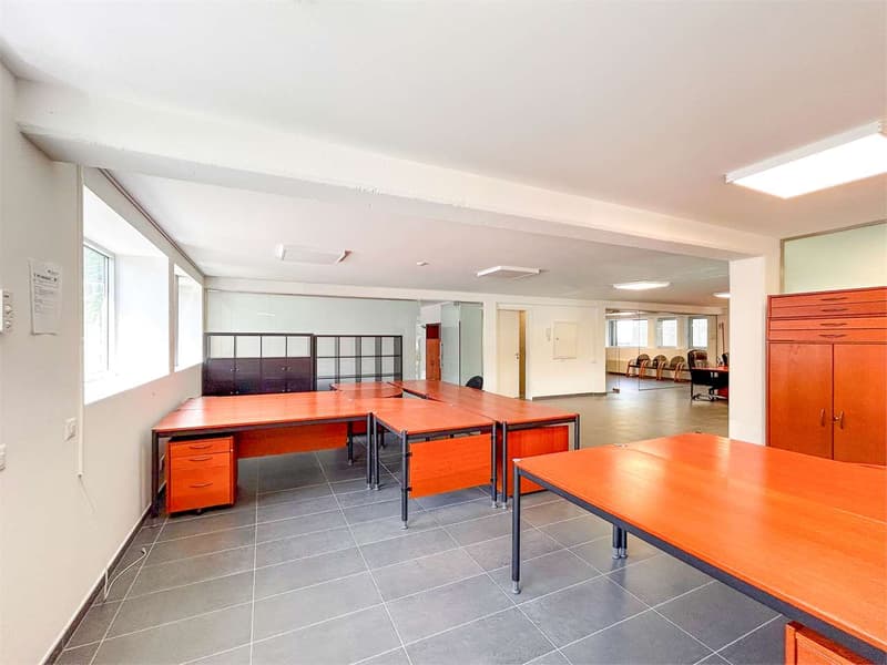 Lamone - In affitto spazi commerciali modulabili (13)