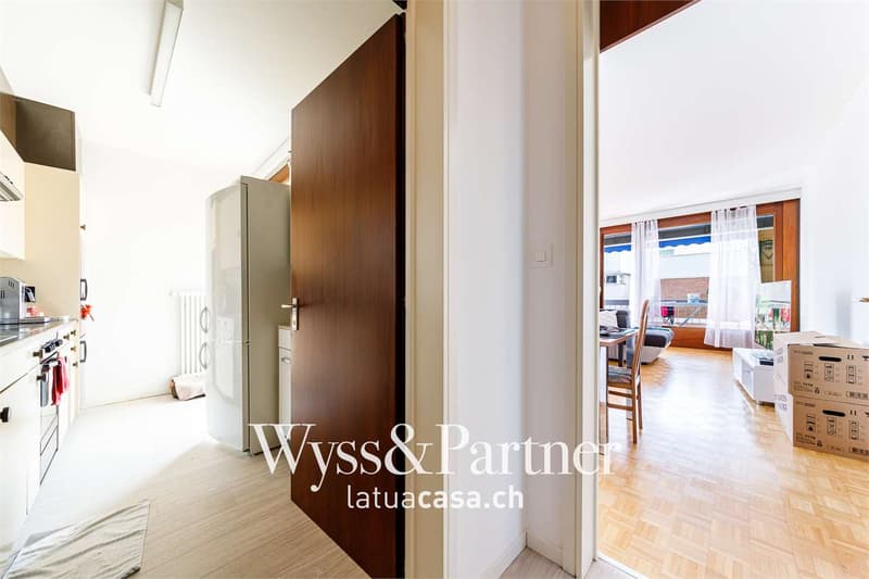 Practical 4.5-room apartment in Minusio (2)