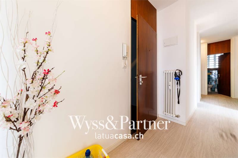 Practical 4.5-room apartment in Minusio (1)