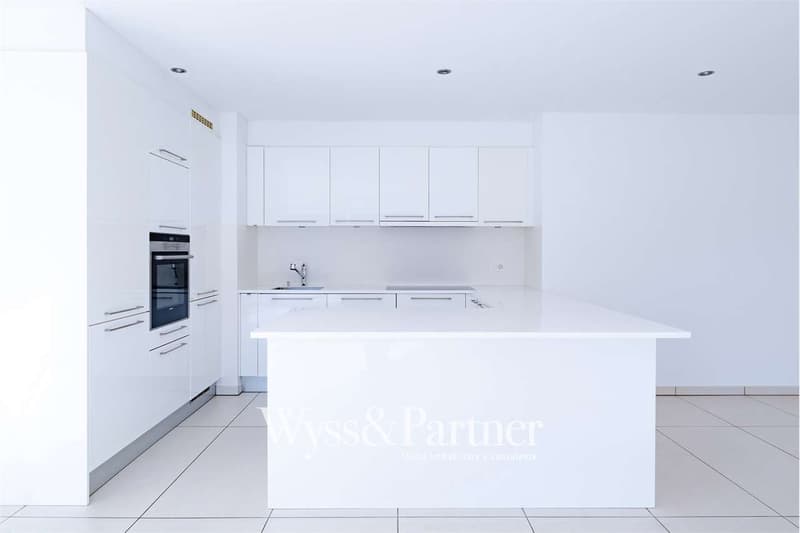 Splendide appartement de 4.5 pièces avec vue ouverte (13)