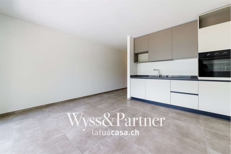 Bellinzona, 1,5 Zimmer in Panoramalage (1)
