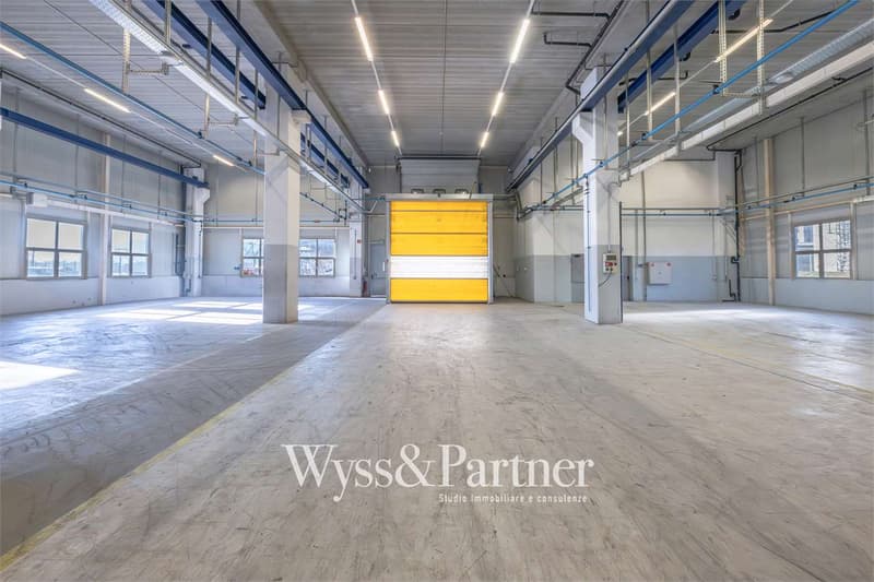 Agno - ampio spazio commerciale (2)