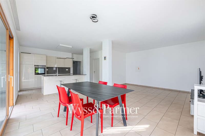 Cadenazzo - modern single-family house (4)