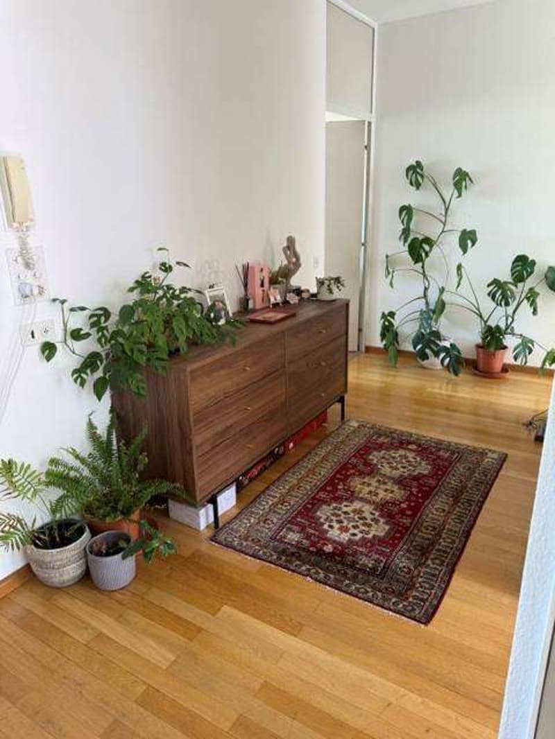 Geräumige und helle 2.5-Zimmer-Wohnung (5)