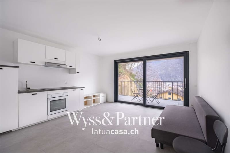 Bellinzona, 1,5 pièces semi-meublés dans un quartier panoramique (6)