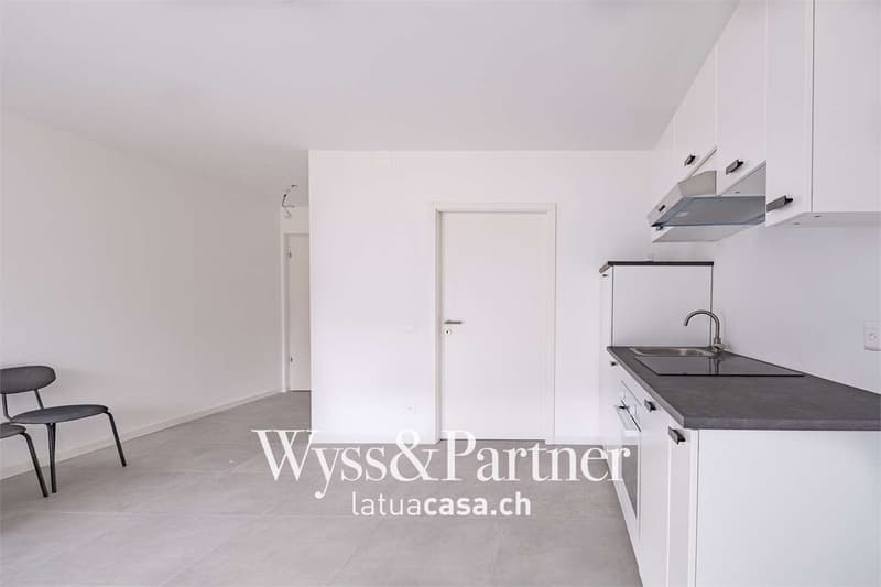 Bellinzona, 1,5 pièces semi-meublés dans un quartier panoramique (5)