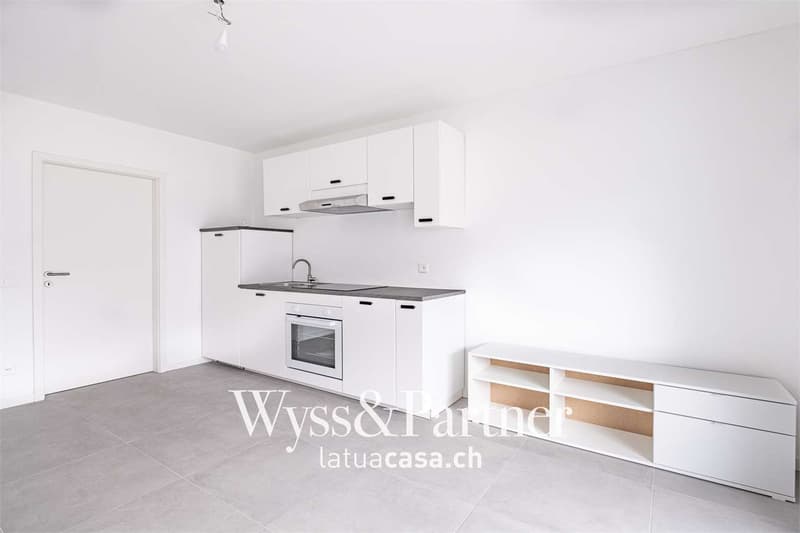 Bellinzona, 1,5 pièces semi-meublés dans un quartier panoramique (8)