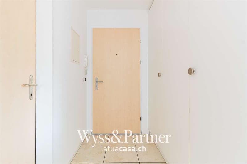 Geräumige und helle 4.5-Zimmer-Wohnung zu vermieten (12)