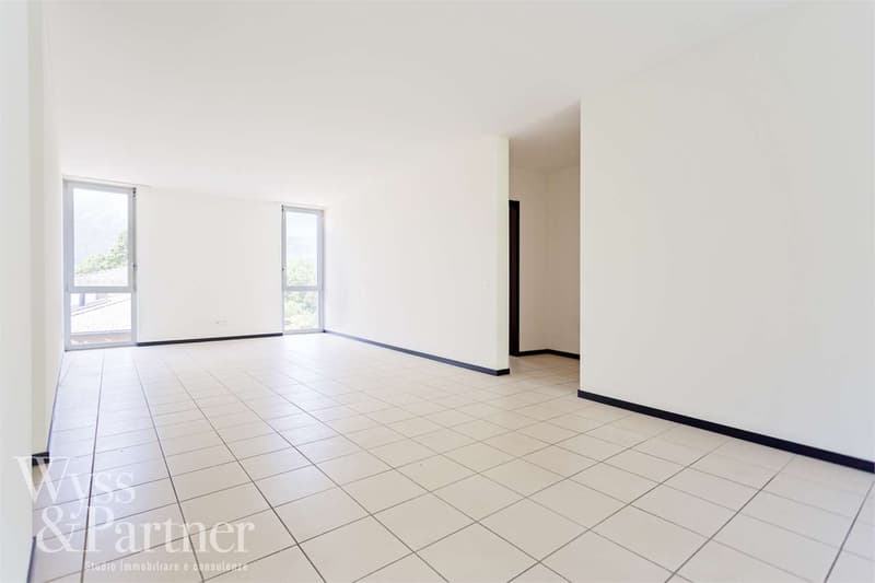 Camorino - Comfortable apartment (4)