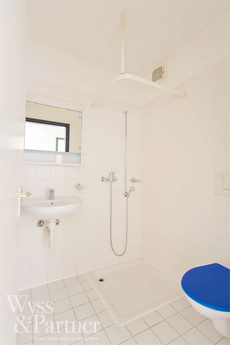 Camorino - Comfortable apartment (8)