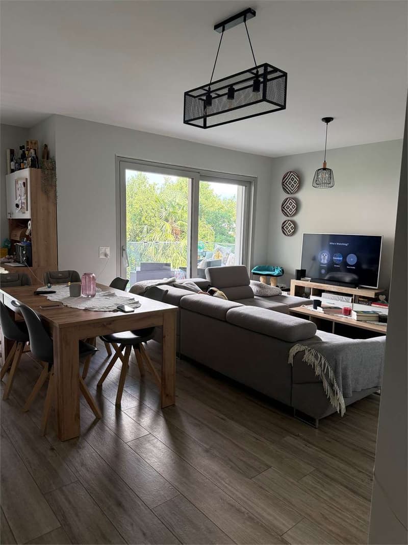 Minusio - Prächtige 3-Zimmer-Wohnung von hohem Standard (1)