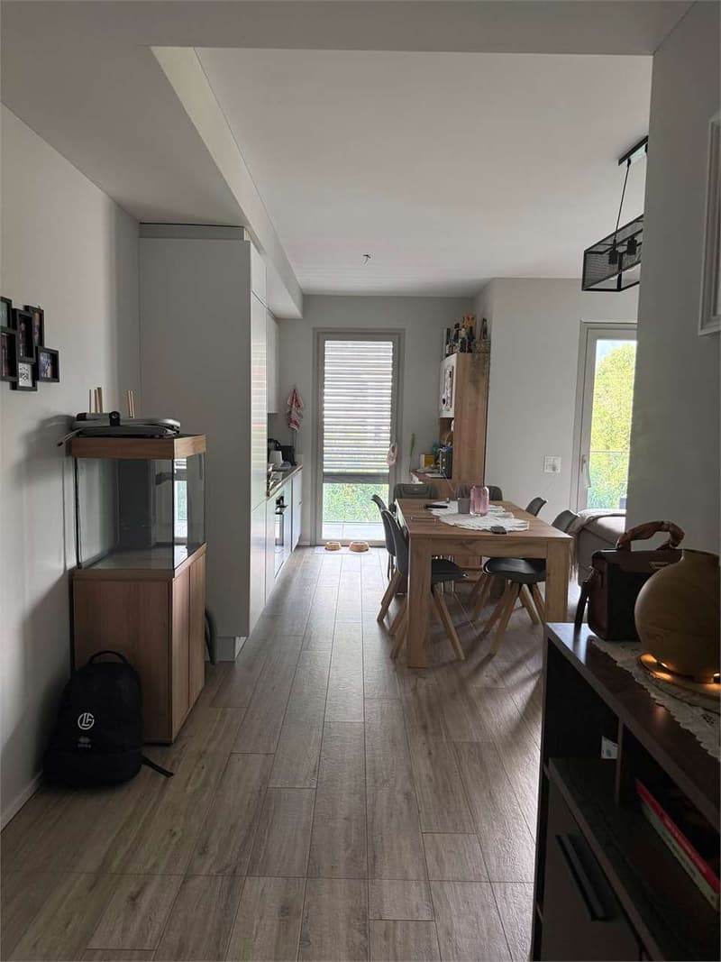 Minusio - Prächtige 3-Zimmer-Wohnung von hohem Standard (2)