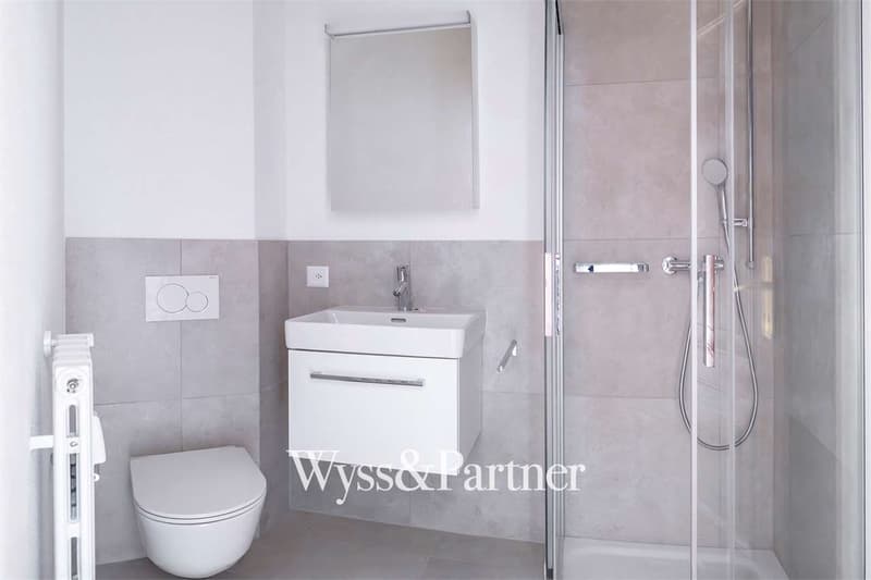 Lugano - 3.5 completely renovated (8)