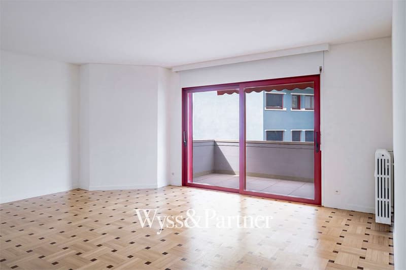 Lugano - 3.5 completely renovated (2)