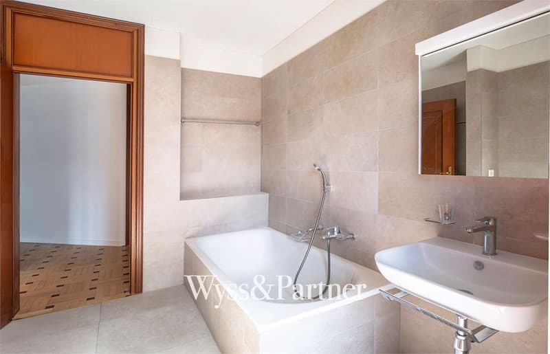 Lugano - 3.5 completely renovated (7)