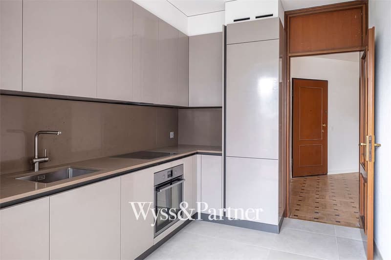 Lugano - 3.5 completely renovated (3)