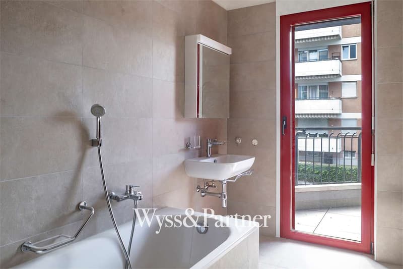 Lugano - 3.5 completely renovated (6)