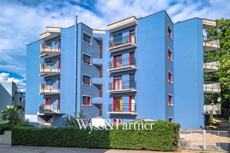 Lugano - 3.5 completely renovated (12)