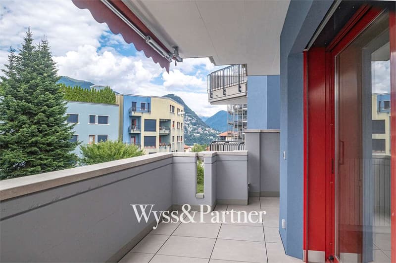 Lugano - 3.5 completely renovated (10)