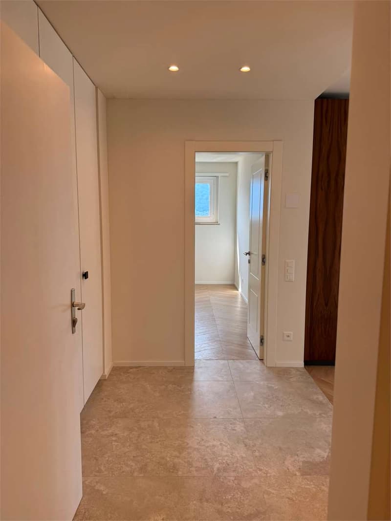**Elegante Wohnung mit 180-Seeblick in Minusio - Zweitwohnsitz** (4)