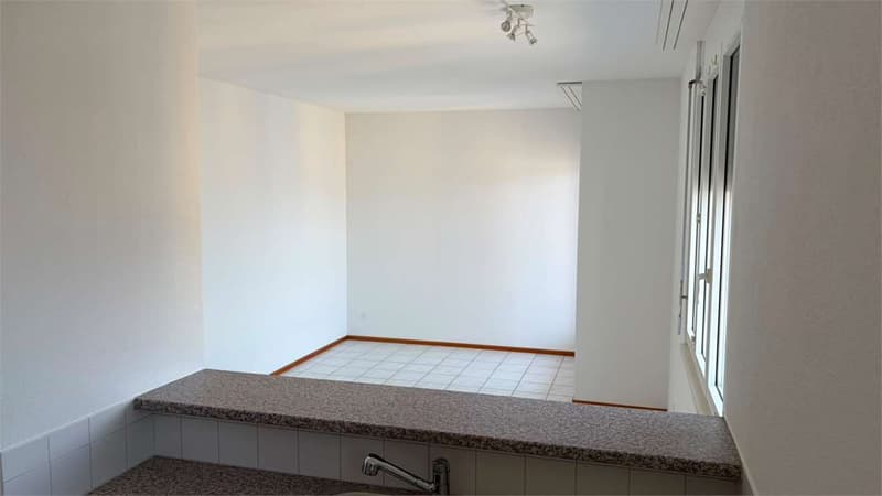 2.5 locali in affitto a Lugano Via Moncucchetto 21 (4)