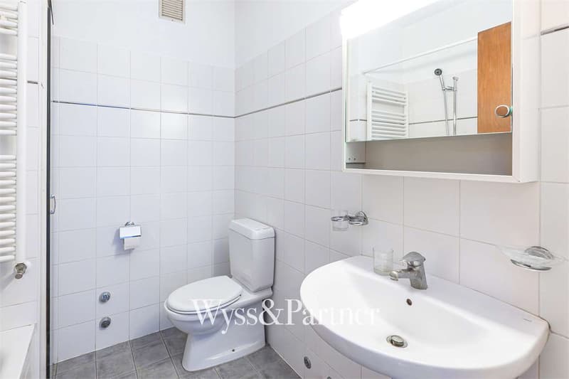 Bright 2.5-room apartment with balcony in Lugano (6)