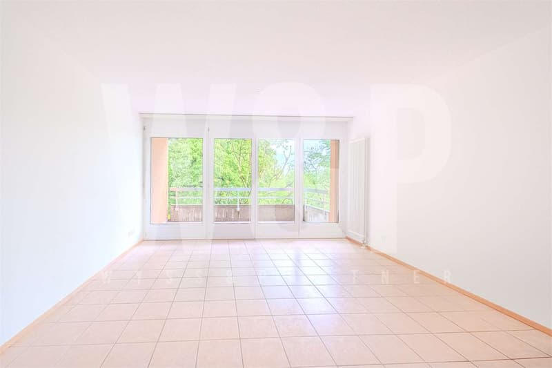 3.5 locali luminoso con terrazza e posteggio - fino a 3 mensilità grat (1)