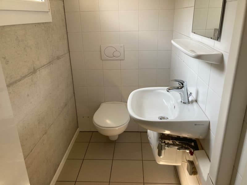 Mezzovico - Bureau moderne de 4 pièces (7)