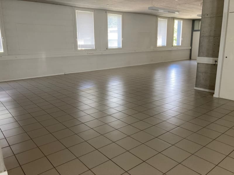 empty room, square tiles on floor, windows with blinds, ceiling lamps