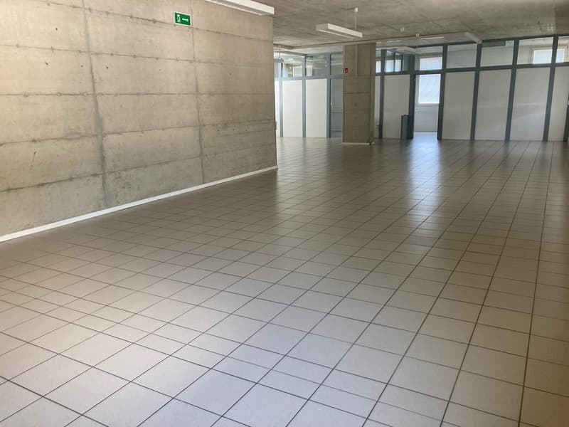 tiled floor, empty walls, large windows