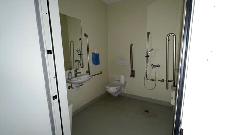 white walls, toilet, shower with metal handrails, sink with soap and mirror