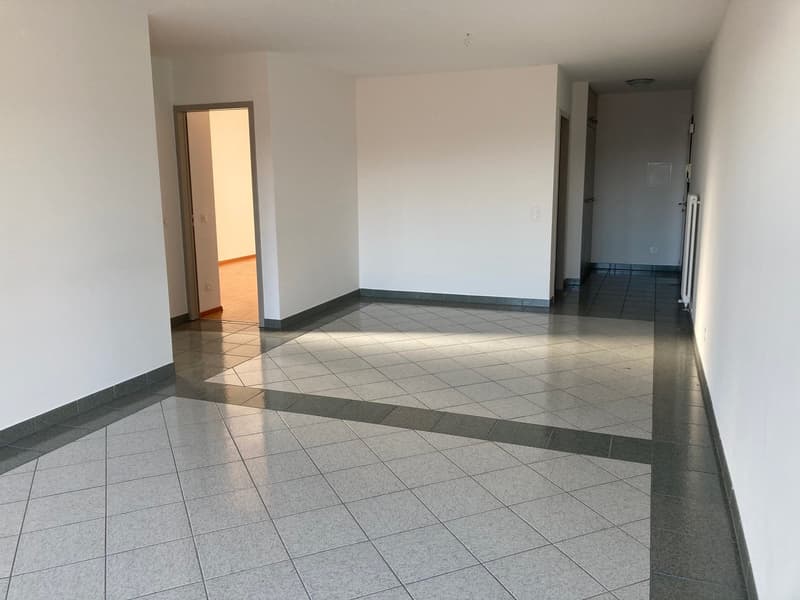 ARZO - Appartement lumineux de 3,5 pièces (5)