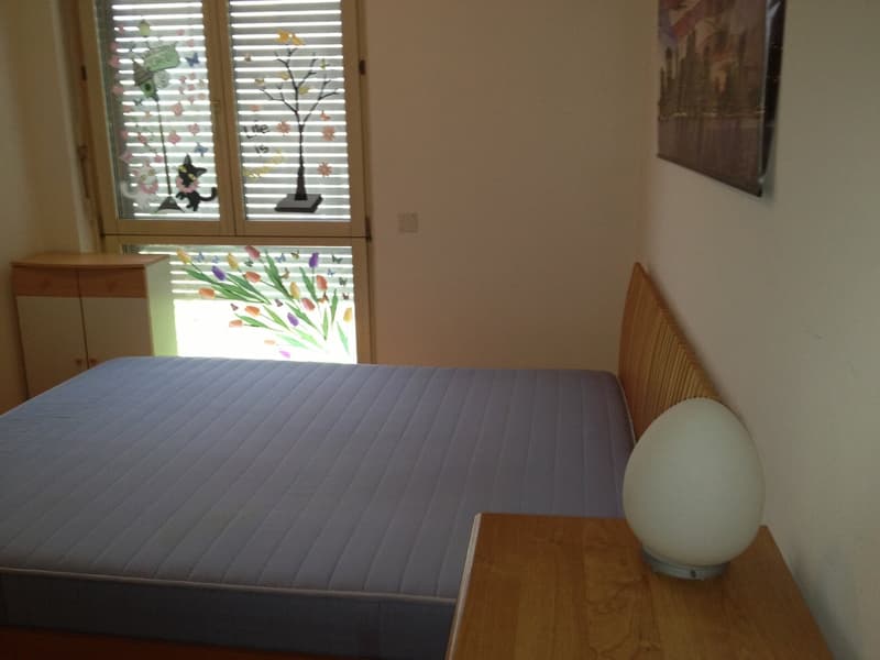 a double bed, cabinet, nightstand, and white lamp on top, a framed picture on the wall, a window with vertical blinds, and white and pink paintings