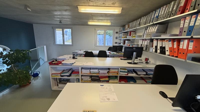 Open plan office with desks, cabinets, computer monitors, plants, office supplies, shelves, and windows.